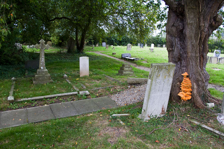 The headstone for Private Tutill (centre) in Hungtington (All Saints') Churchyard