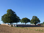 Sucrerie Cemetery, Ablain-St. Nazaire